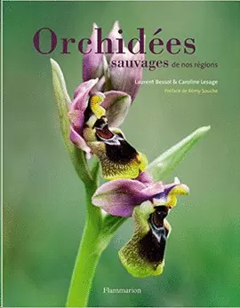 ORCHIDEES SAUVAGES DE NOS REGIONS