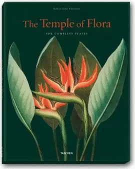 THE TEMPLE OF FLORA