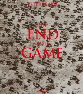THE END OF THE GAME