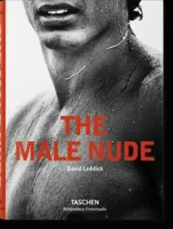 MALE NUDE, THE