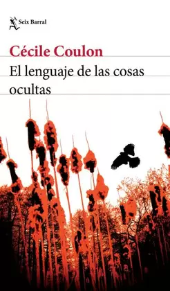 EL LENGUAJE DE LAS COSAS OCULTAS