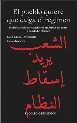 PUEBLO QUIERE QUE CAIGA EL RÉGIMEN, EL