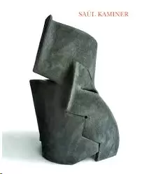 SAÚL KAMINER