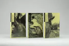 CAMPOS DE ACCIÓN: ENTRE EL PERFORMANCE Y EL OBJETO