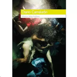 DIARIO CAMALEON
