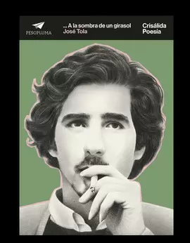 A LA SOMBRA DE UN GIRASOL