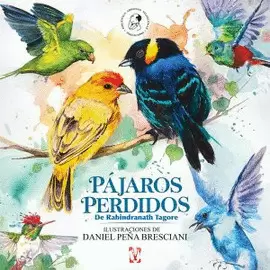 PÁJAROS PERDIDOS