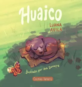 HUAICO