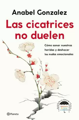 LAS CICATRICES NO DUELEN: COMO SANAR NUESTRAS HERIDAS Y DESHACER LOS NUDOS EMOCIONALES