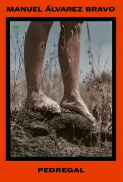 MANUEL ÁLVAREZ BRAVO - PEDREGAL