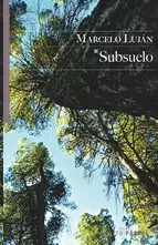SUBSUELO