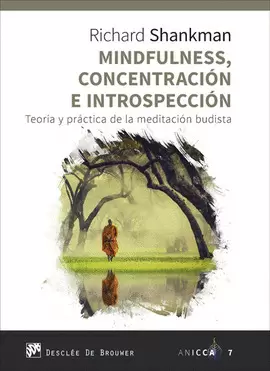 MINDFULNESS, CONCENTRACIÓN E INTROSPECCIÓN. TEORÍA Y PRÁCTICA DE LA MEDITACIÓN B
