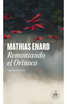 REMONTANDO EL ORINOCO