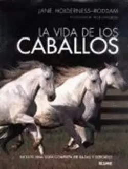 LA VIDA DE LOS CABALLOS