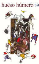 HUESO HÚMERO Nº 59