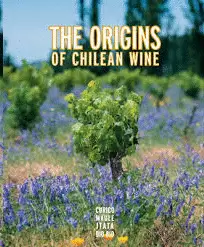 THE ORIGINS OF CHILEAN WINE