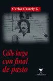 CALLE LARGA CON FINAL DE PASTO