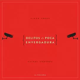 DELITOS DE POCA ENVERGADURA