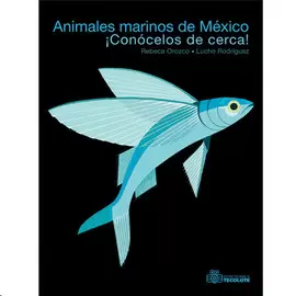 ANIMALES MARINOS DE MEXICO - CONOCELOS DE CERCA