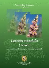 LUPINUS MUTABILIS (TARWI)