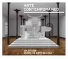 ARTE CONTEMPORANEO. COLECCION MUSEO DE ARTE DE LIMA