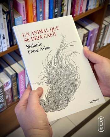 Un animal que se deja caer, de Melanie Pérez Arias